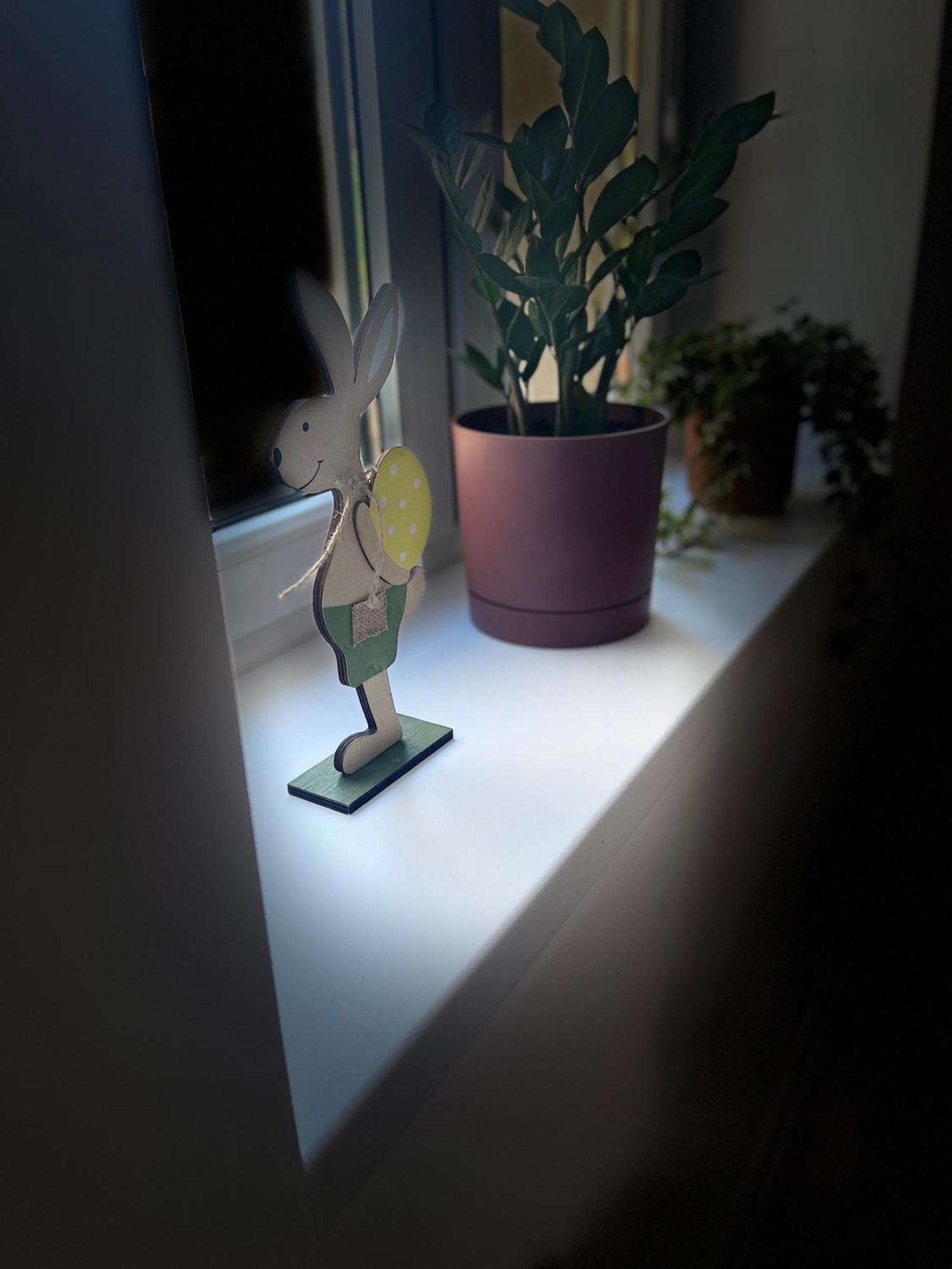 Nikifor Apartamenty Krynica-Zdroj Esterno foto