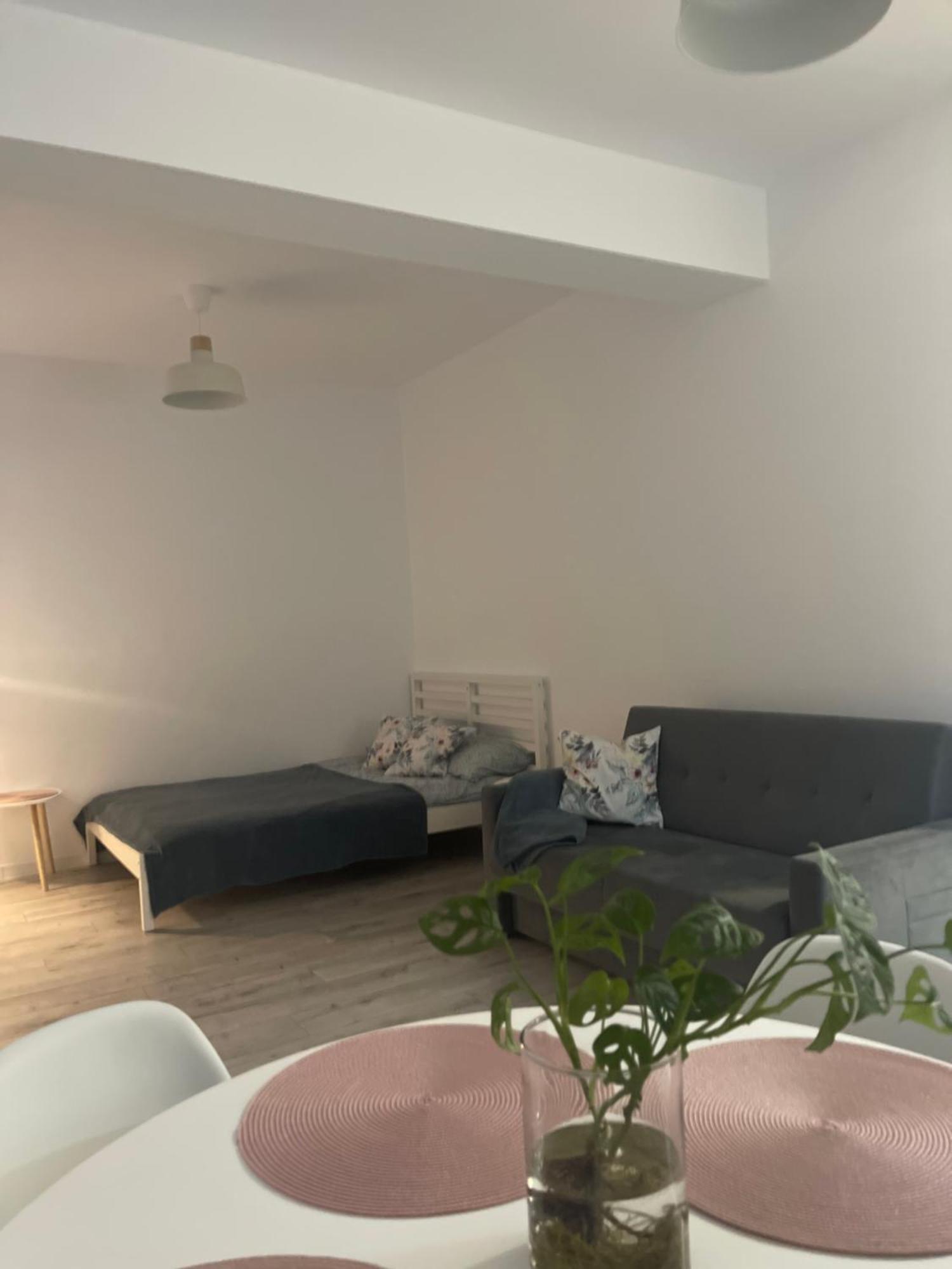 Nikifor Apartamenty Krynica-Zdroj Esterno foto